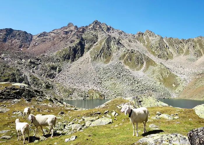 Anemone By Interhome Apartament Sölden